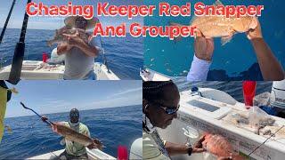 Offshore Fishing Adventure: Red Snapper Pursuit and Red Grouper Bounty in Tampa Bay, FL!#redsnapper