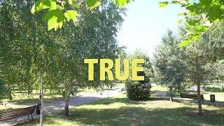 Библейский урок "TRUE" vtrendi camp