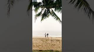 Tropical paradise  Cola beach, South Goa | thedoubletdiary| couple travel #shorts