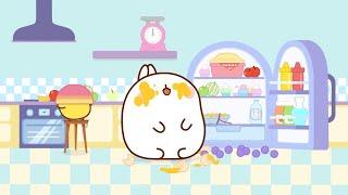 Molang and Piu Piu: The Crazy Cooking Adventure!  | Funny Cartoon for Kids