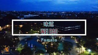 味道 (Wei Dao) Female Version - Karaoke mandarin with drone view