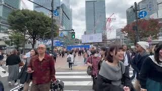 [Travel Vlog 4K] Japan Tokyo, Shibuya cross walk, Nov 2024