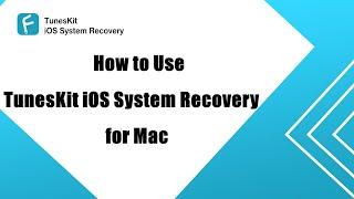 (Step-by-step Guide) How to Use TunesKit iOS System Recovery for Mac