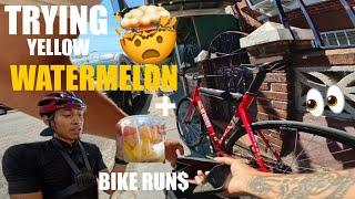 FIXED GEAR | TRYING YELLOW WATERMELON‼️+ CAPSULE DELIVERIES on my CINELLI VIGORELLI SHARK prt 1