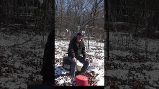I plant beet heavy #garden #growfoodnotlawns #gardenmulch