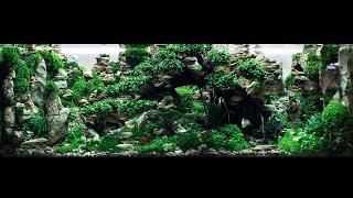 THE 450 LITERS CONTEST-LEVEL AQUASCAPE WITH RELAXATION MUSIC - 2 HOUR 4K CINEMATIC