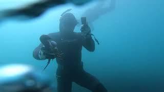 Diving Cape Palliser - Crayfish & Paua