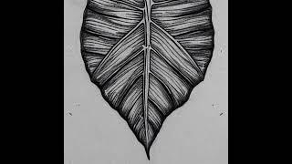 "Nature's Artistry - Realistic Pencil Drawings of Leaves"