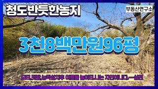 청도이서면 반듯한 양지바른농지 96평몽땅3800만원274