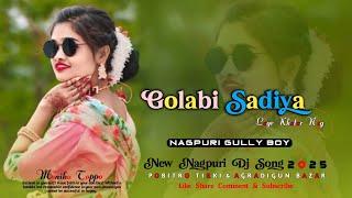 Golabi Sadiya --Nagpuri Dj Song 2025 || गुलाबी साड़ी लाली लाला - Dj Remix Song || NAGPURI GULLY BOY