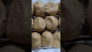 손님이 가족이되다