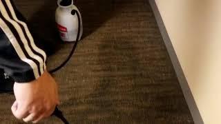 Dye Pro - Carpet Dyeing to Fix Color Loss in High Rise Apartments