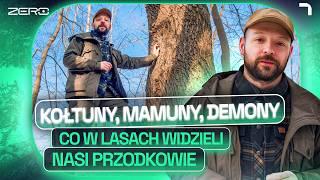 JAK ROZPOZNAĆ DRZEWO BEZ LIŚCI? KOMPLETNY PORADNIK ORAZ… CZEGO W LASACH BALI SIĘ NASI OJCOWIE?