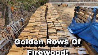 The Start Of Our Golden Rows Of FIREWOOD!