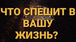 СрочноЧто на пороге?Точный цыганский расклад на Червовую ДамуГАДАНИЕ на игральных картах |18+