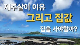 제주살이|제주도이주|제주도집값|제주살이장점|내가제주에온이유|제주살이브이로그