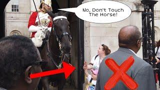 She got Told Off by The King's Guard "DON'T TOUCH THE HORSE"!