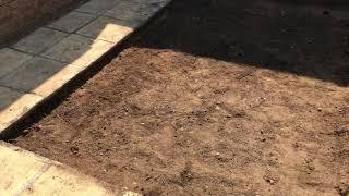 Laying slabs with sharp sand pt 1