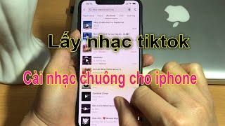 Hướng dẫn lấy nhạc Tiktok cài nhạc chuông cho iphone - Vũ Tuyển Mobile.