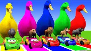 5 Giant Duck Cartoon,Cow,Mammoth,Tiger,Lion,Dinosaur,Paint Wild Animals Crossing Fountain Animation