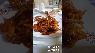파주 궈쉐이 사천탕수육  #파주궈쉐이 #한상기기자