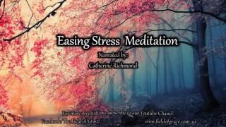 Meditation "Stress Relief"              Narrated by Catherine L Richmond ( 22 Mins)