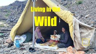 Living in the Wild | Underground Chicken Cooking in the Mountains