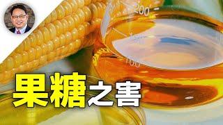 【四維健康】健康殺手——果糖！增加糖尿病、脂肪肝、膽固醇升高、內臟脂肪堆積和心臟病等疾病風險！