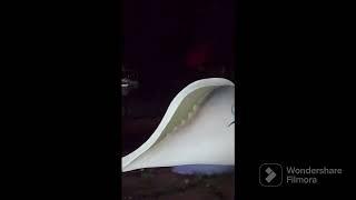 Vis and Stay at Poovar Island Resort