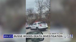 Death investigation underway after body found in Busse Woods