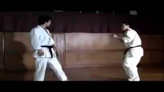 Karate Shotokan Storm