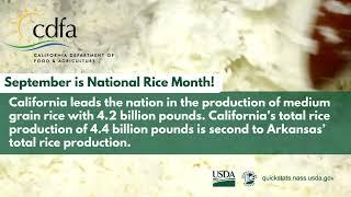 September is National Rice Month!