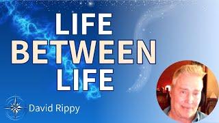 Uncover the Mystery of Our In-Between Lives with Expert Hypnotherapist! David Rippy