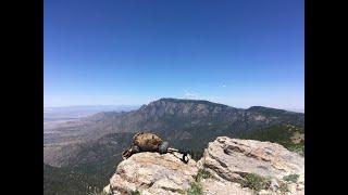 Life Zones of The Sandia Mountains in New Mexico