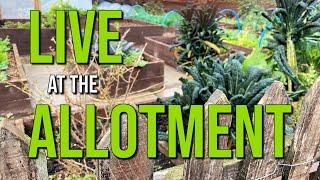 Live OnThe Allotment with Tony C Smith
