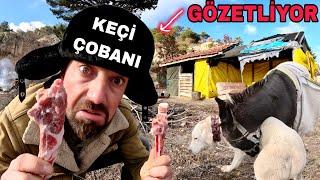 YENİ YILA KEÇİ ÇOBANI OLARAK GİRMEK~KÖPEKLER HİÇ DURMUYOR~KURTLAR BİZİ GÖZETLİYOR