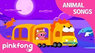 Savanna Night Tour | Animal Songs | Learn Animals | Pinkfong Animal Songs for Children