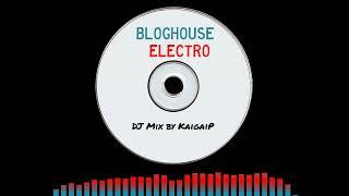 Bloghouse, Electro DJ Mix (2006-2010)