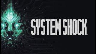 The Hacker's story begins in 2070 at Citadel Station in System Shock