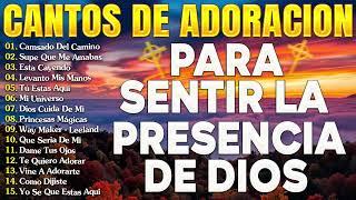 MÚSICA CRISTIANA PARA SENTIR LA PRESENCIA DE DIOS HERMOSAS ALABANZAS CRISTIANAS DE ADORACION 2024