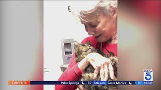 Woman reunited with cat presumed lost in Palisades Fire