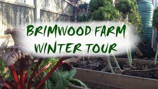 Brimwood Farm Winter Tour | Seedlings and New Shoots