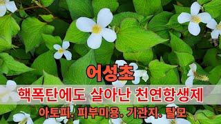 【약초대학TV】아토피,피부미용,탈모로 고민하시는 분, 이 영상을 꼭 보세요.