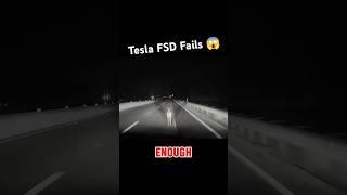 Tesla’s FSD Fails To Detect Deer On The Road, Doesn’t Even Slow After Impact #shorts #teslafsdbeta