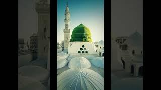 SUBCRIBE PLZ Noor Wala Aya Ha-Farhan Ali Qadri #islam #freepalestine #shorts #shortvideo #viral