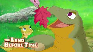 Finding Yummy Tree Stars   | The Land Before Time | 1 Hour of Full Episodes