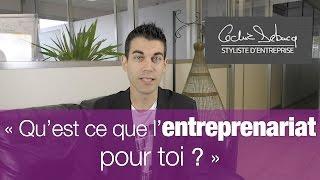 Qu'est ce que l'entreprenariat?