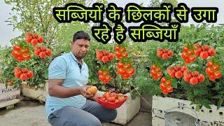 सब्जियों के छिलकों से हो गया चमत्कार Kitchen waste compot garden