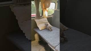 UAZ Camper van tour #automobile #camping #overlanding #diy