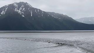 The Bore Tide at Turnagain Arm (7/5/2023)